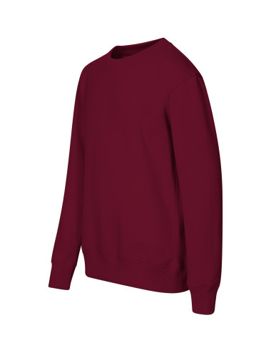 Children's Crew 427 sweatshirt garnet Malfini Malfini