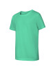 Kinder-Fantasie-T-Shirt 147 Mint Adler Malfini