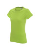 Promostars LADIES` HEAVY Damen-T-SHIRT, LIME-Aufdruck, Logo-Stickerei