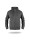 Men`s sweatshirt bison gray Crimson Cut