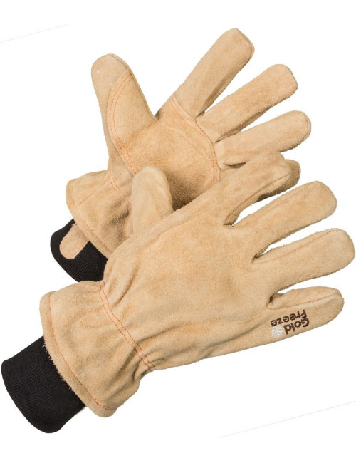Arctic Gold Coldstore Leather Coldstore Gloves Clothing, Goldfreeze