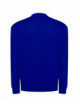 2Bluza dresowa męska swra 290 sweatshirt royal niebieski Jhk