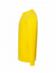 2Bluza dresowa męska swra 290 sweatshirt żółty Jhk