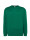 Herren-Sweatshirt SWRA 290 Sweatshirt Kelly Green Jhk