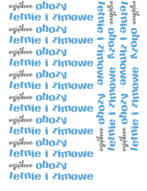 Full Color DTF print. Format A3. Thermal transfer on clothing, printout