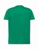 2Koszulka męska tsra 150 regular t-shirt kg - kelly green Jhk