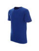 2Herren-T-Shirt Standard 150 kornblumenblau Promostars