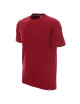 Promostars PREMIUM Men`s T-SHIRT DARK RED embroidered logo DTG print