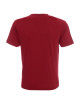 Promostars PREMIUM Men`s T-SHIRT DARK RED embroidered logo DTG print