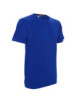 2Promostars kornblumenblaues Premium-T-Shirt für Herren