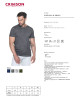 CRIMSON CUT SMOKY Herren-T-Shirt in Grau mit Stickerei, Siebdruck und Transferdruck