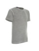 2Smoky t-shirt light gray Crimson Cut