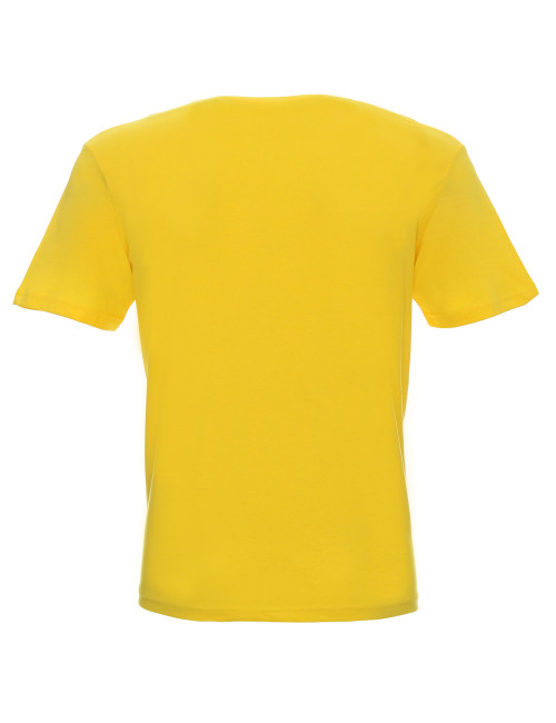 GEFFER HERREN-T-SHIRT 200 GELB Siebdruck-Sticklogo für Unternehmen