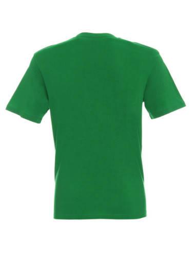 Koszulka męska 200 zielony wiosenny Geffer
