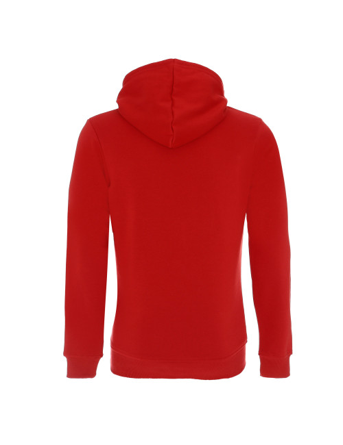 GEFFER SWEATSHIRT Men 620 RED DTG print silkscreen logo embroidery